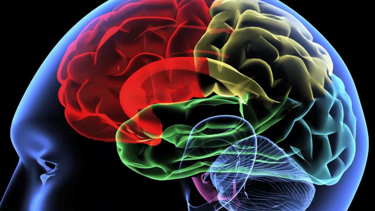 Why your brain needs a workout too