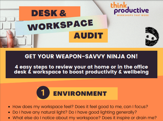 Ninja Desk and Workspace Audit Infographic